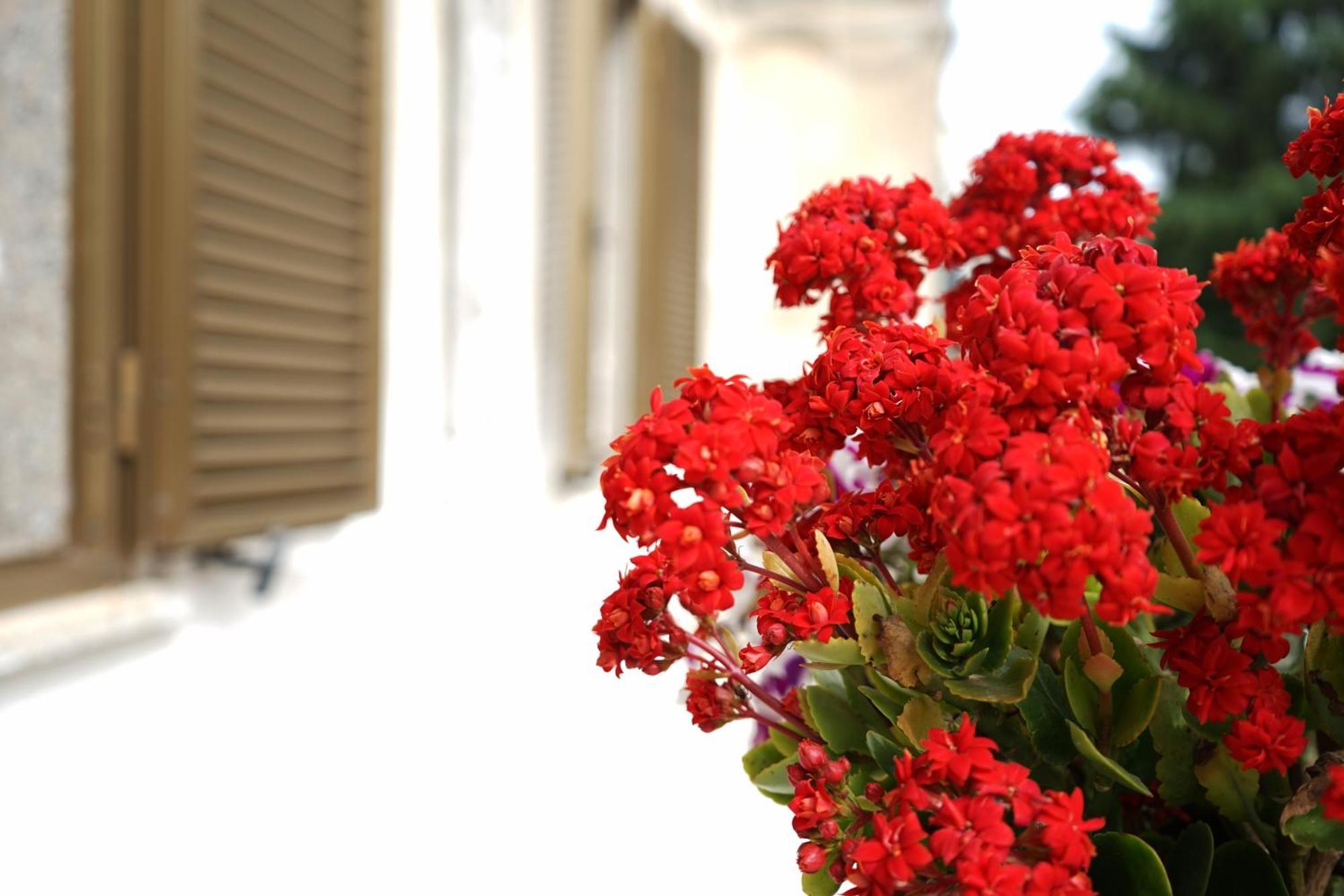 Ostuni Dream House 아파트 외부 사진